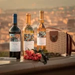 Wine Making Tools - The Key to Crafting Exceptional Wines