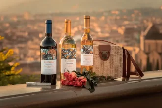 Wine Making Tools - The Key to Crafting Exceptional Wines