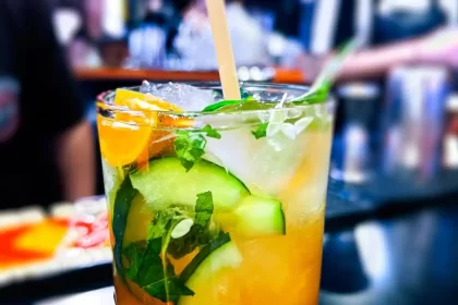 Cool and Refreshing Cucumber Mojito Recipe