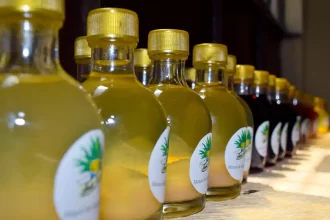 Culinary Harmony - Mezcal and Food Pairing