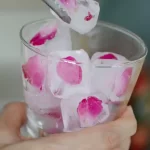Enhance Your Drinks with Flavorful Ice Cubes