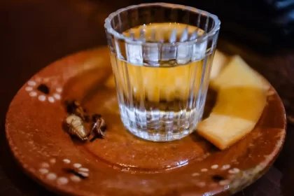 Mixology Delight - Mesmerizing Mezcal Cocktails