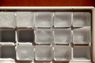 Organize Your Freezer with Space-Saving Ice Cube Storage Trays