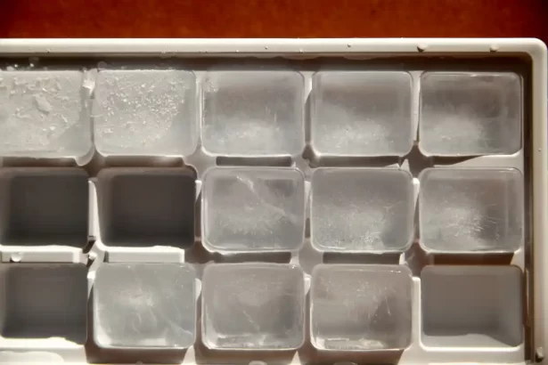 Organize Your Freezer with Space-Saving Ice Cube Storage Trays