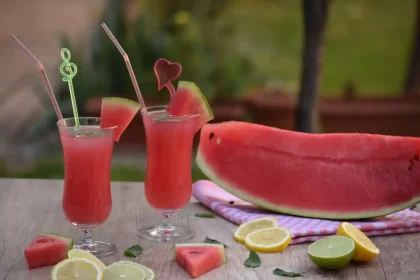 Summery Watermelon Mojito Recipe