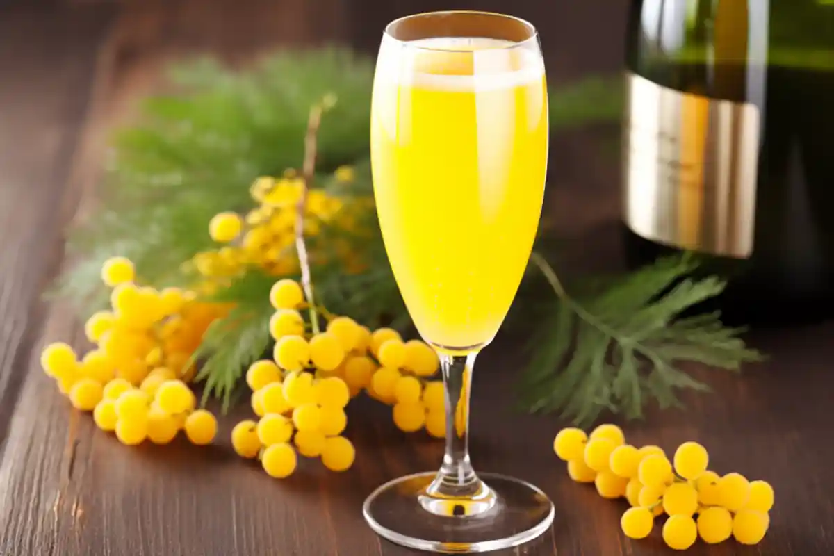 Surprising Health Benefits of Mimosa