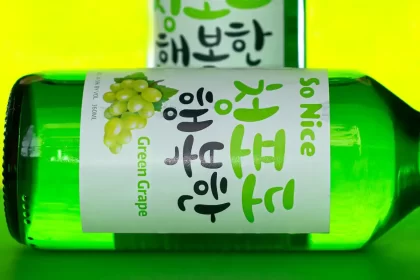 Top So Ju Brands in the Market