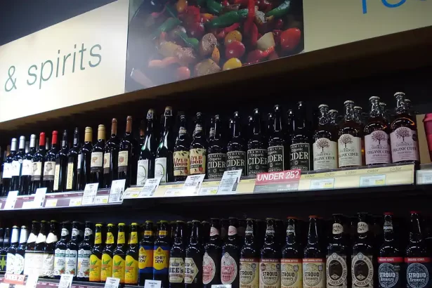 Finding the Best Cider Shops