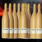 Mezcal Bozal: Uncharted Flavors Await