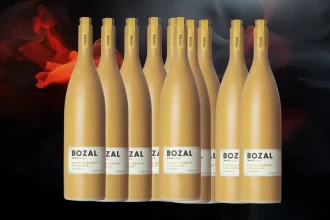 Mezcal Bozal: Uncharted Flavors Await