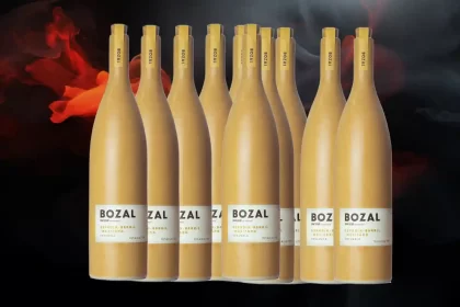 Mezcal Bozal: Uncharted Flavors Await