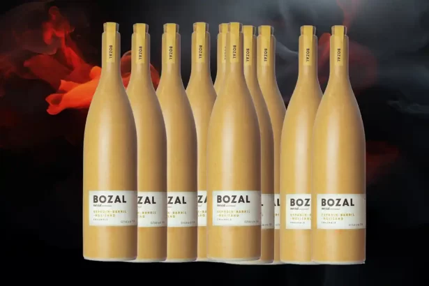 Mezcal Bozal: Uncharted Flavors Await